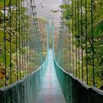 Explore the Monteverde Cloud Forest