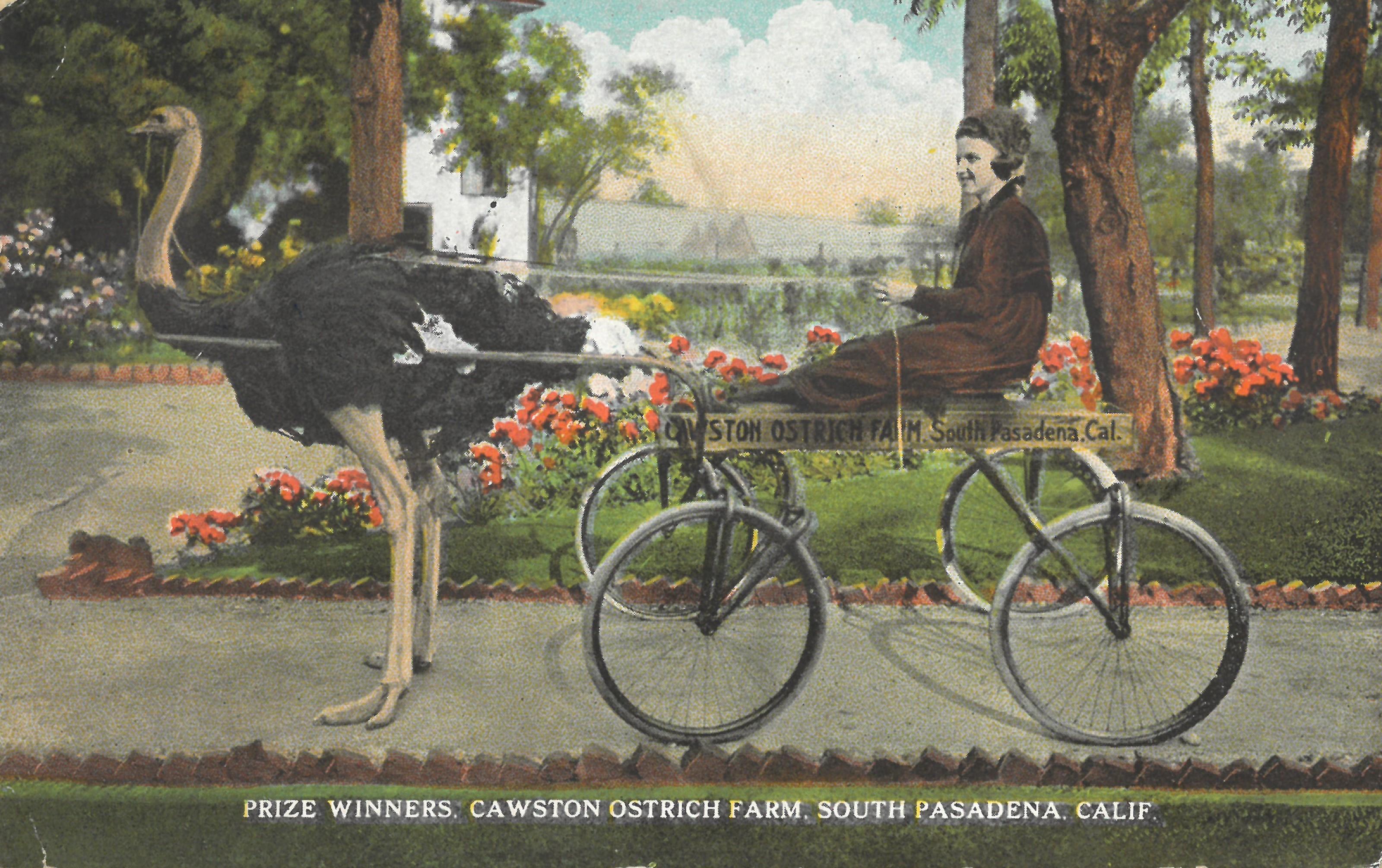 The Wedding Website of Ashley Atkinson and Winston Rankin