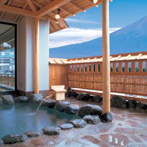1 Night in Japanese Hotel