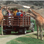 San Diego Zoo Safari Park