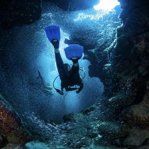 Snorkeling Eden Rock in Cayman Islands