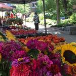 The Fayetteville Farmers Market
