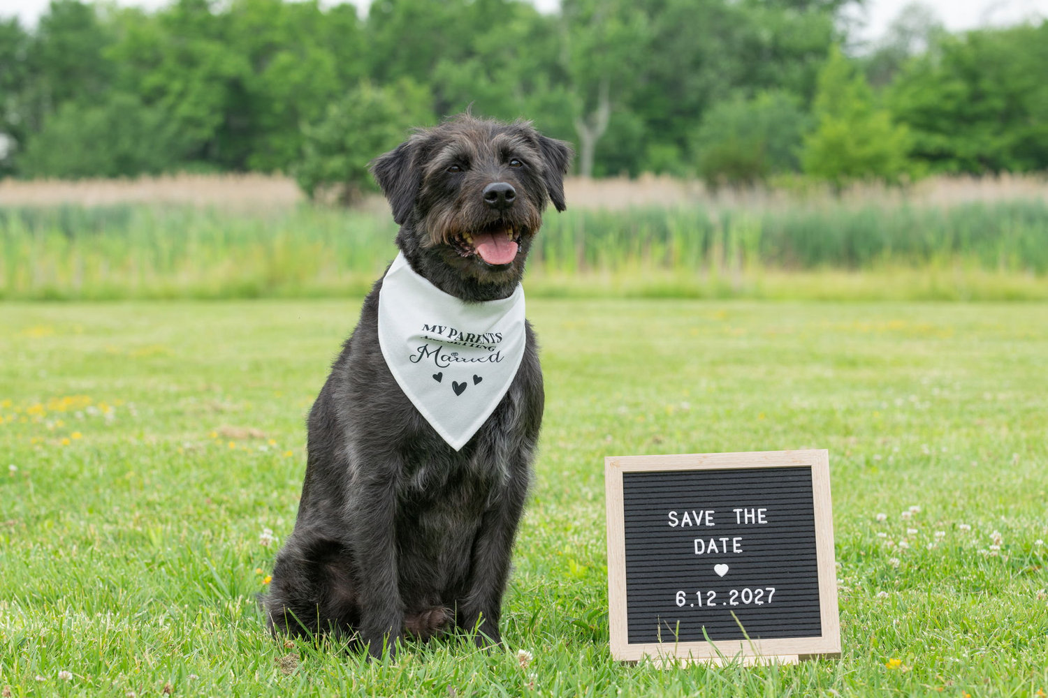 The Wedding Website of Melisa Rayvid and Danny Waffenfeld
