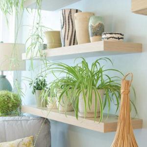 Floating Shelves