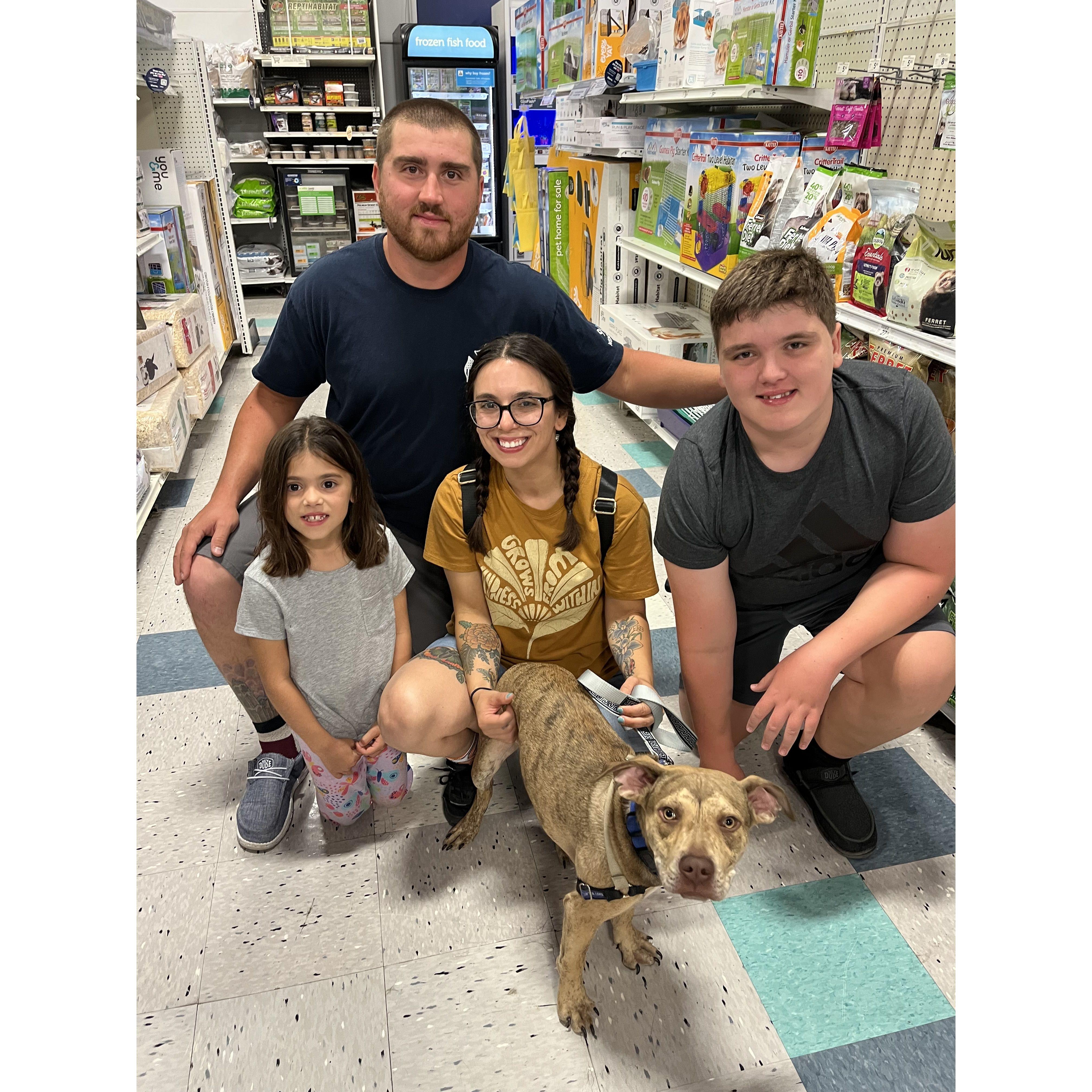 The day we adopted Jiffy <3