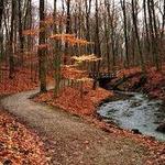 Highbanks Metro Park