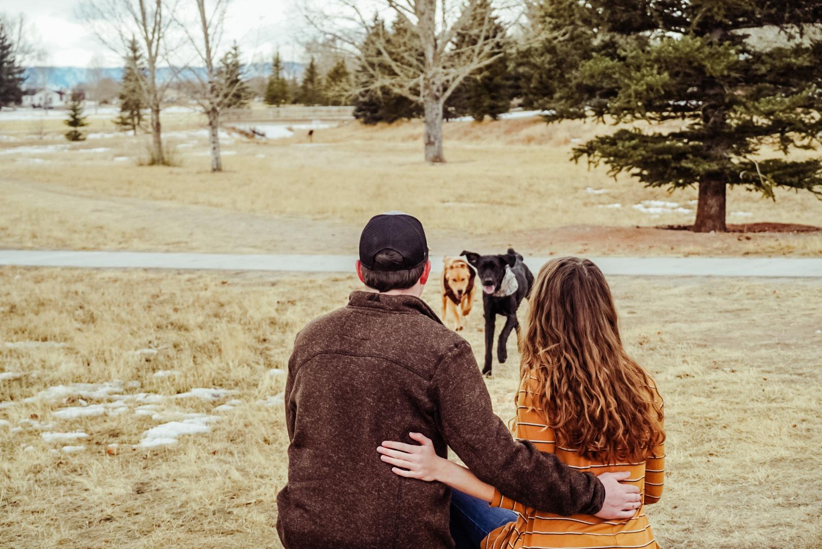 The Wedding Website of Abbigail Jo Faxon and Samuel David Rodgers