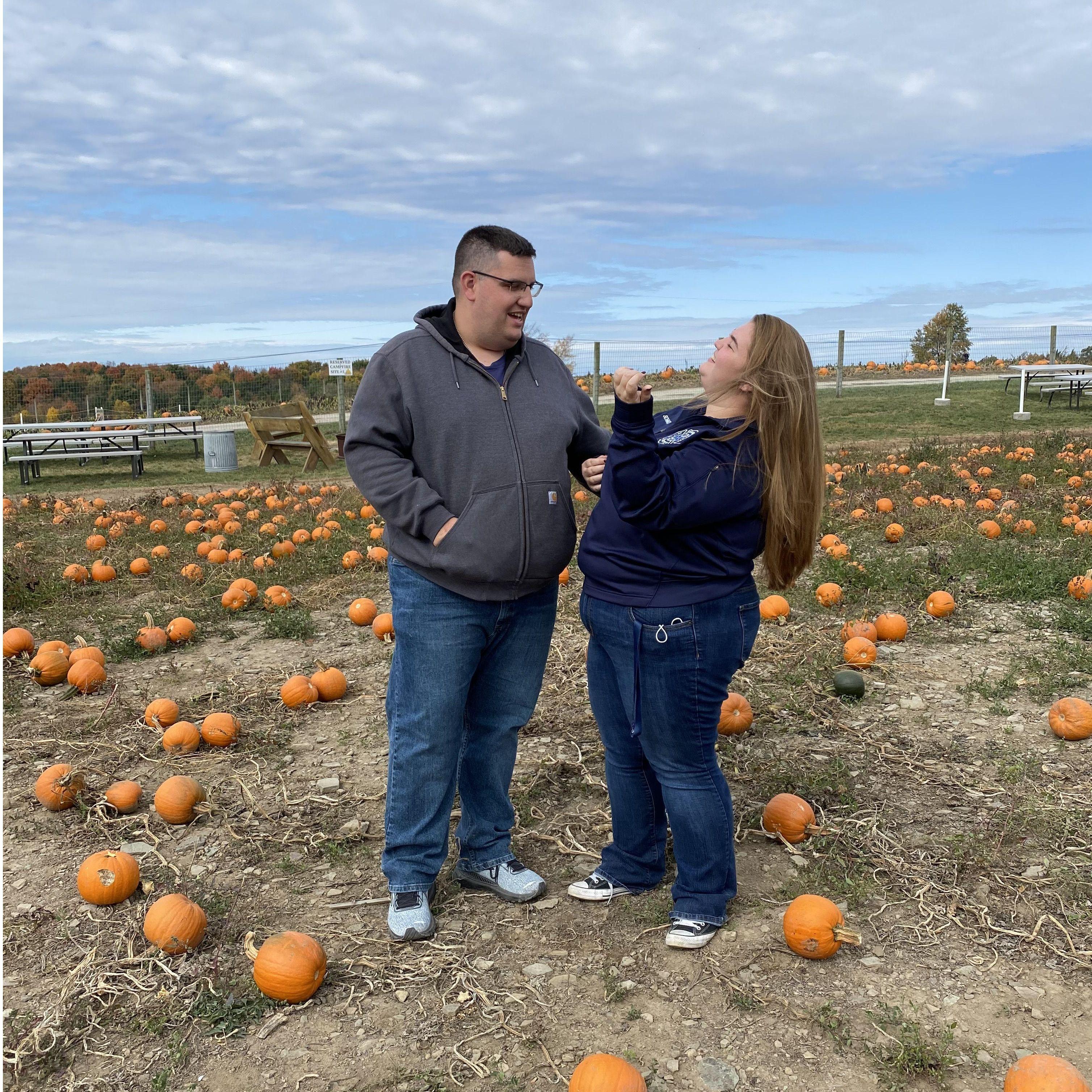 Obligatory pumpkin patch pic
