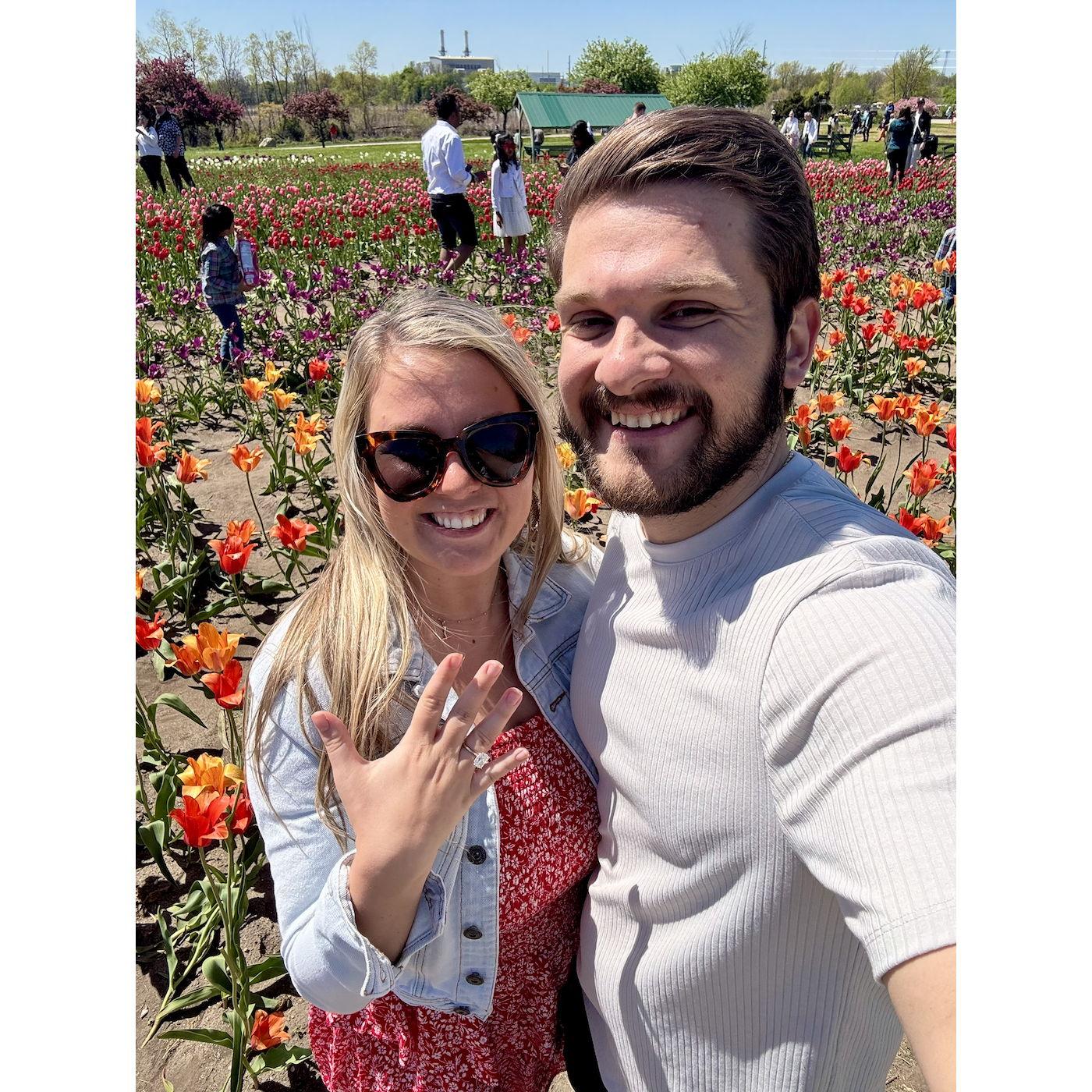 The day we got engaged! Joe managed to pull off the best surprise at tulip fest in Holland, Michigan.