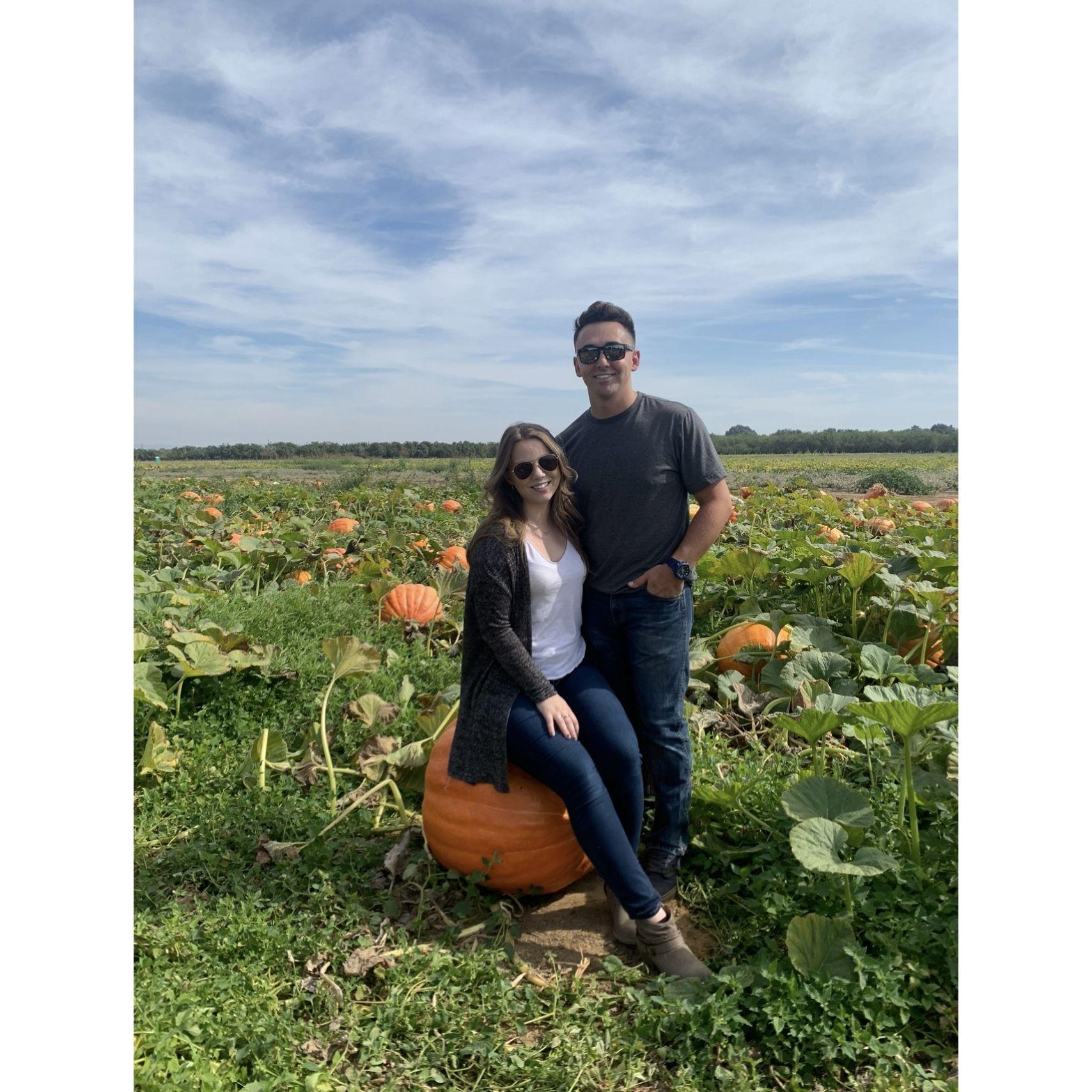 Bishops Pumpkin Patch