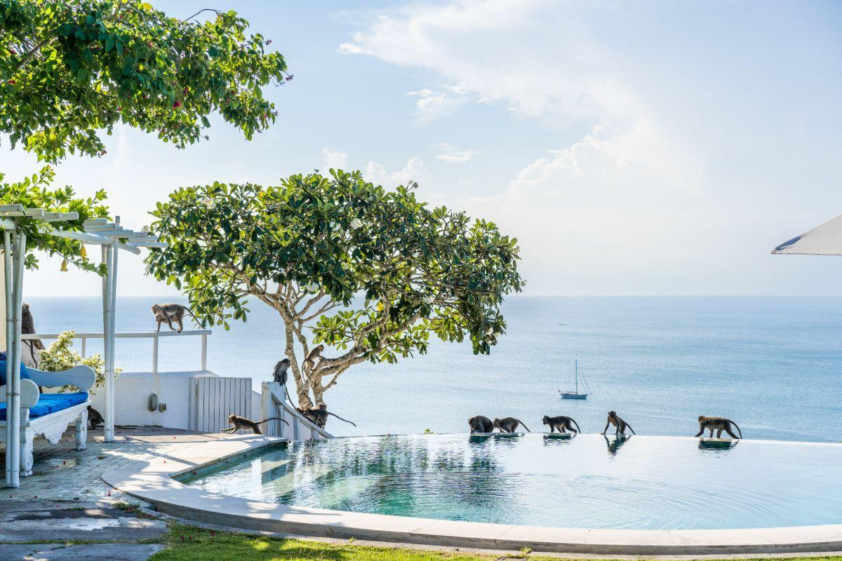 The Wedding Website of Danielle Hess and James Ferrier