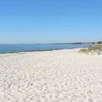 Beaches and Cape Cod Rail Trail