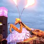 Downtown Container Park