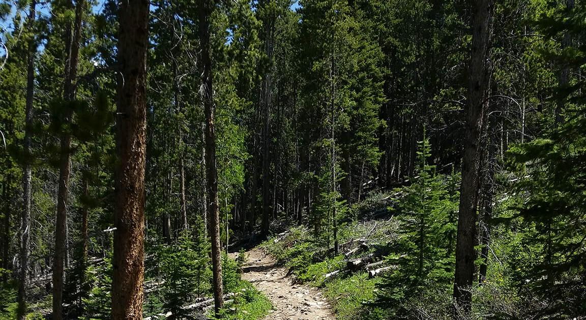 The Wedding Website of Wendy Richards and Ty Pierson