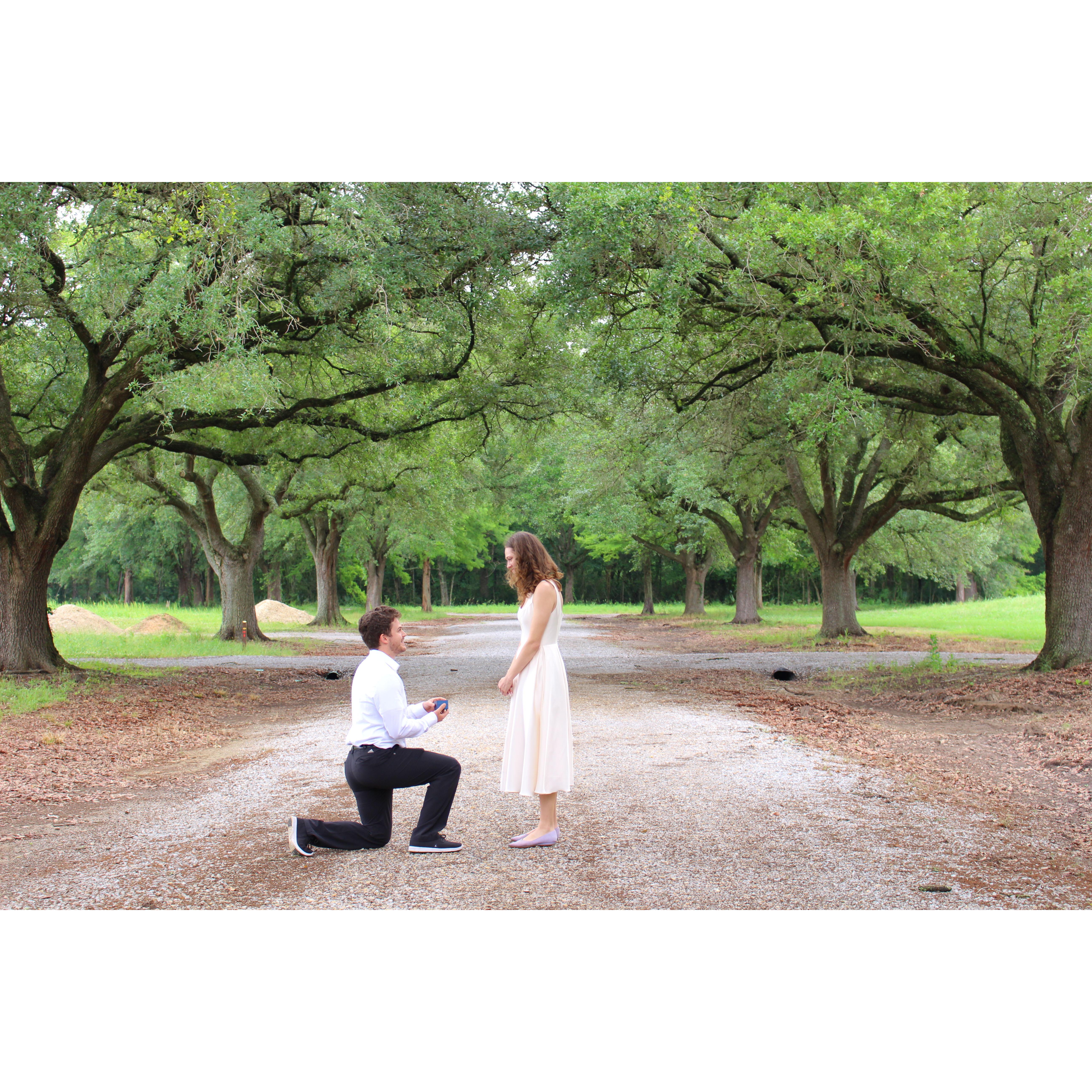 Proposal