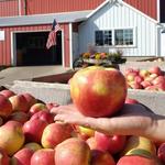 Apple Barn Orchard & Winery