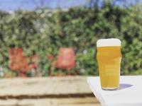 St. Elmo Brewing Company