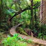 El Yunque National Forest