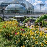Phipps Conservatory and Botanical Gardens
