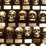 The College of Physicians of Philadelphia (Mutter Museum)