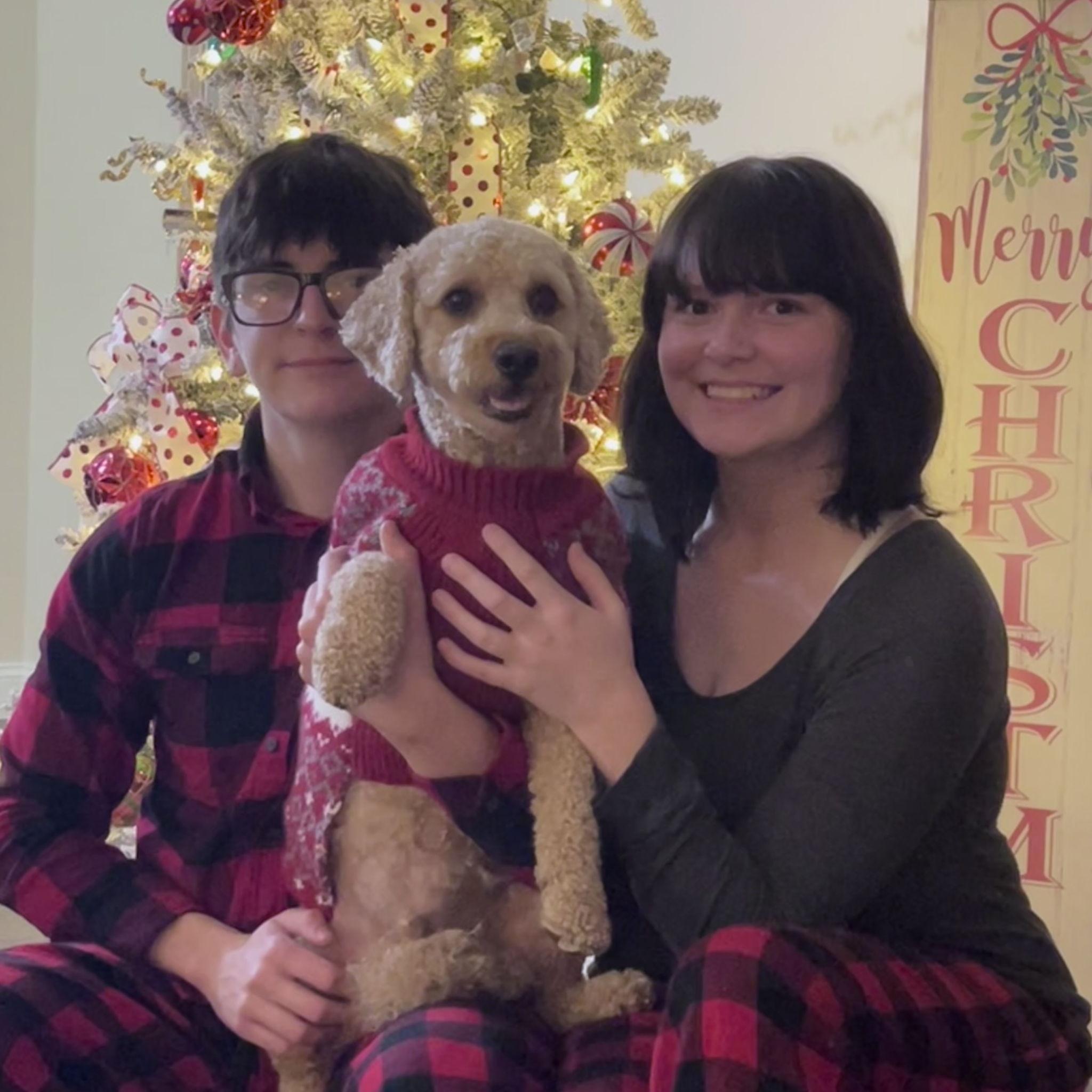 Christmas with Ollie, 2022