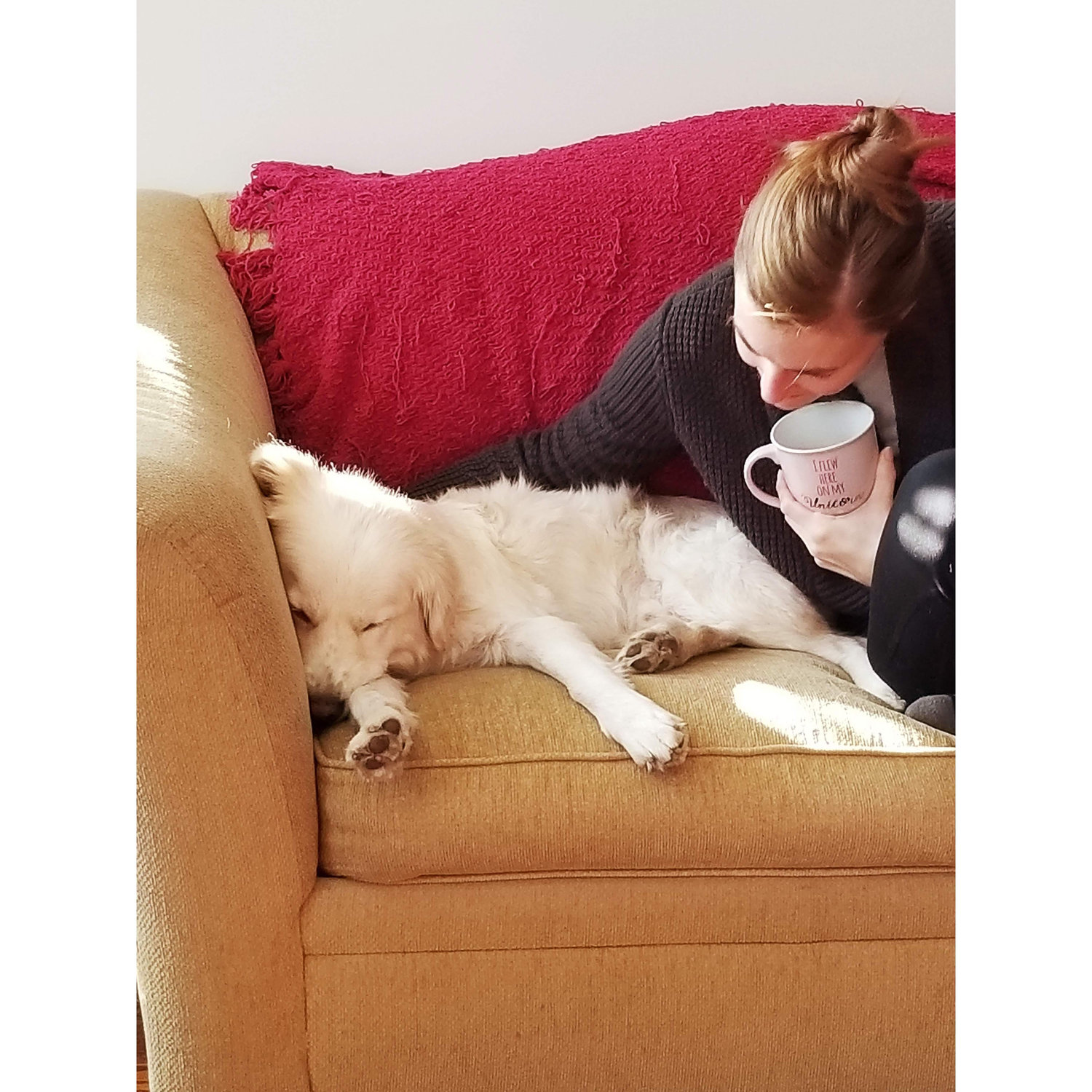 Tubie's favorite napping couch after Valerie moved to Lousiville for residency, 2020