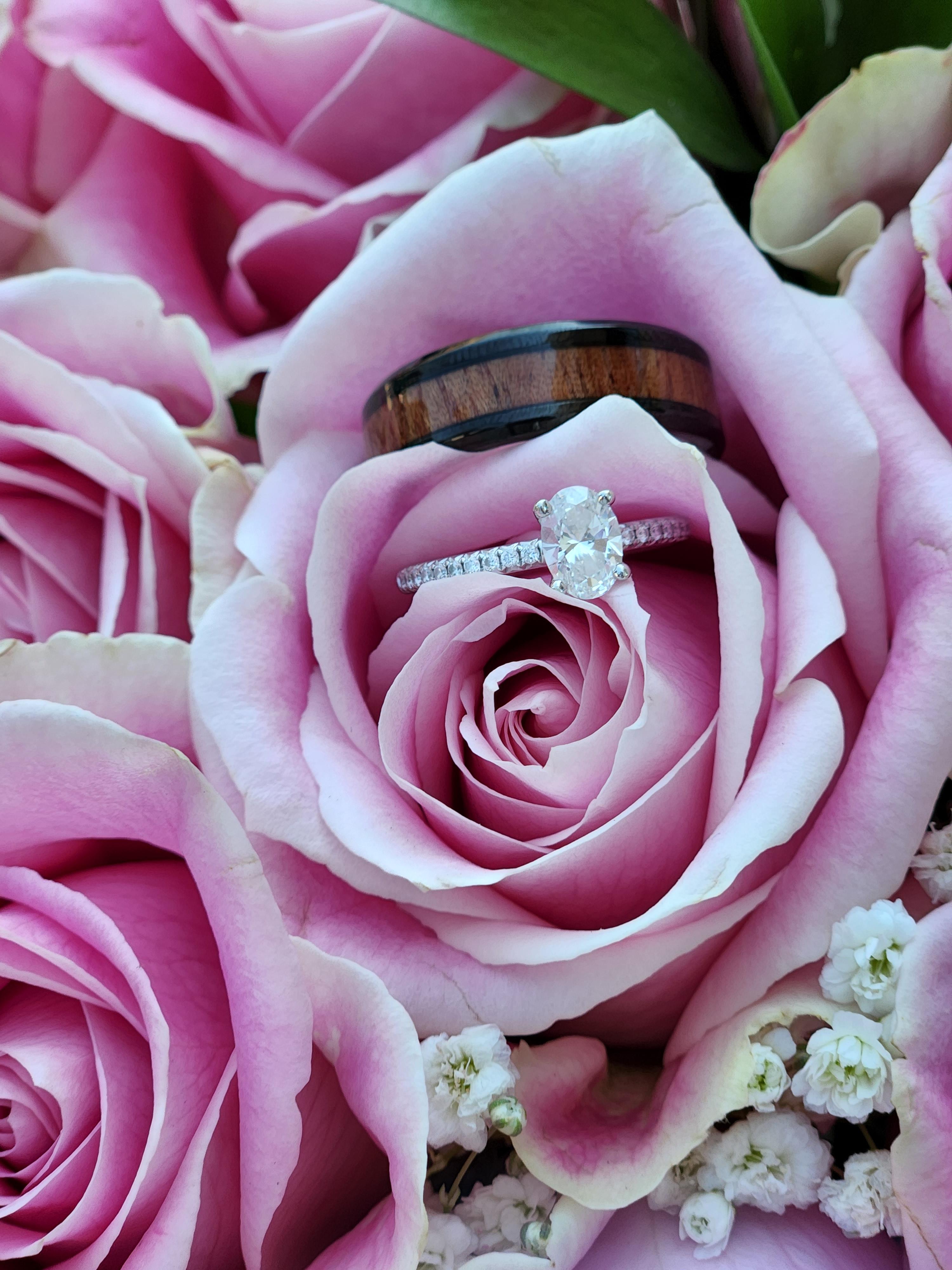 The Wedding Website of Jessica Williams and Dustin Williams