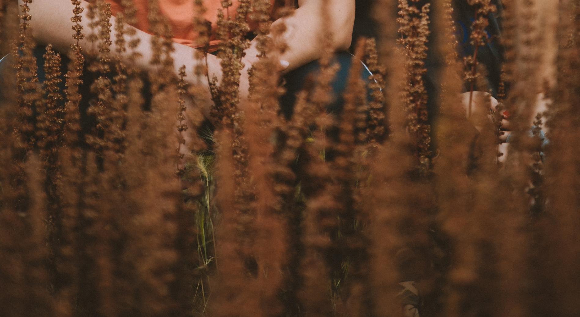 Footer image