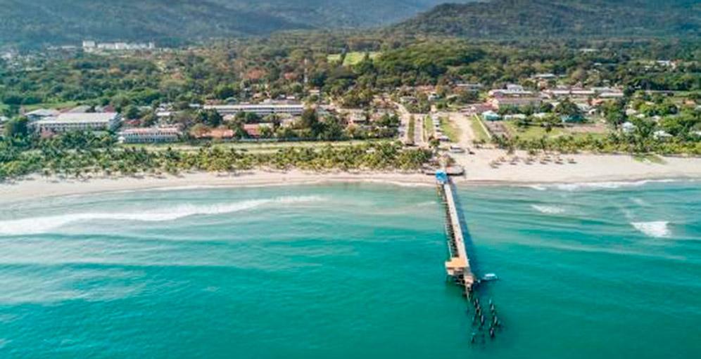 The Wedding Website of Jennifer Pérez and Connor Jones