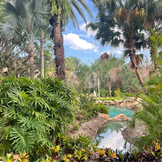Discovery Cove Tickets
