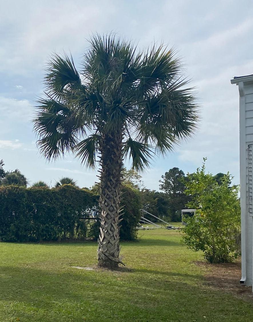 The Wedding Website of Tessa Trail and Bradley Crosby