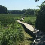 Hiking the Appalachian Trail Boardwalk