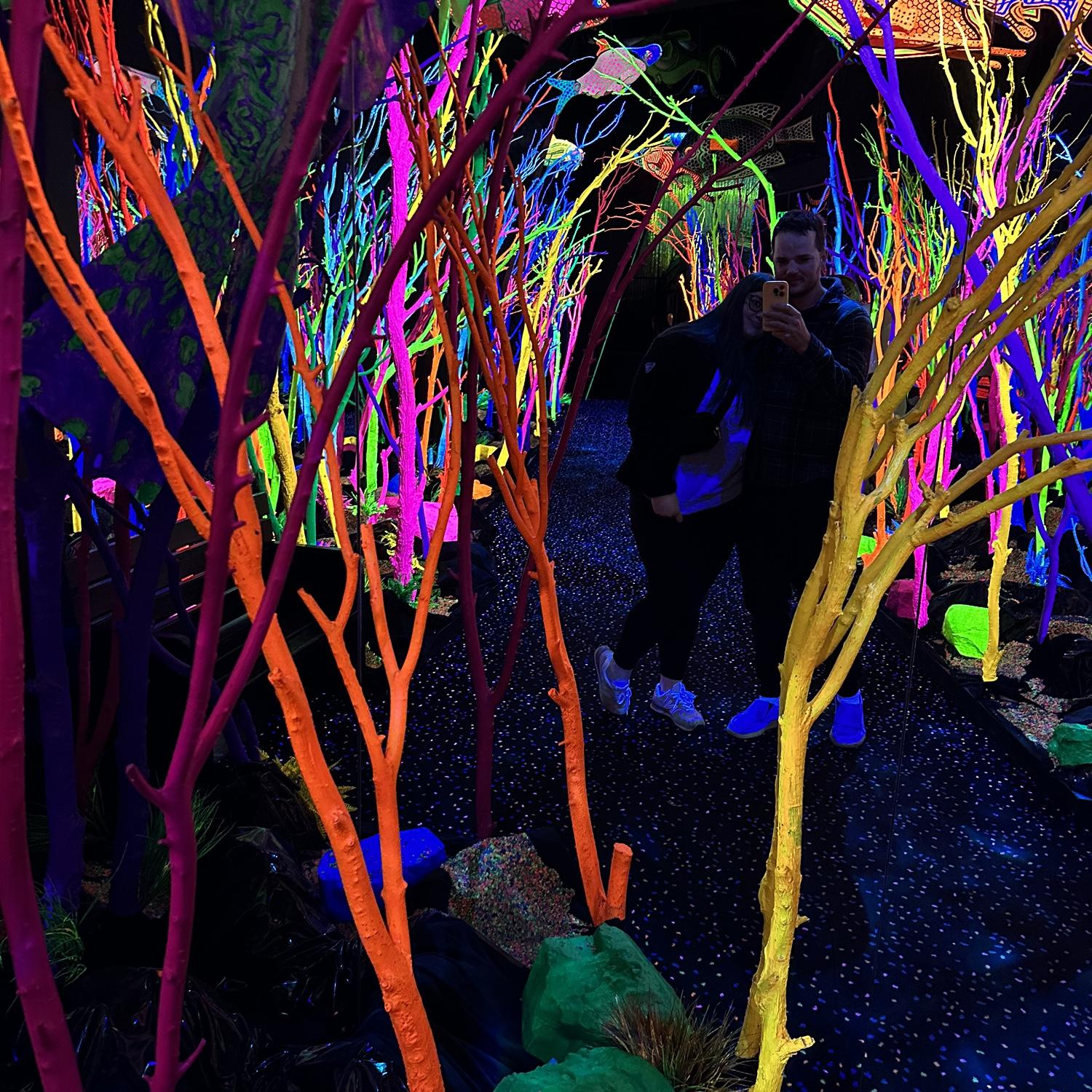 Meow Wolf