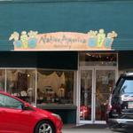 Native America Gallery