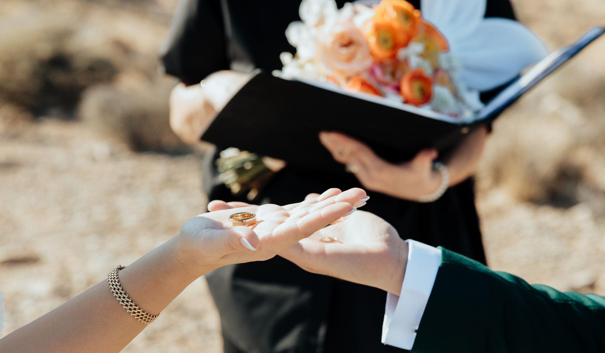 Hero Slideshow Image 0