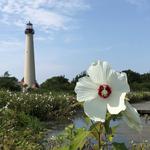 Cape May Point State Park