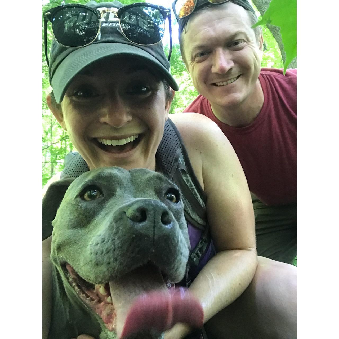 Hiking in the blue ridge mountains