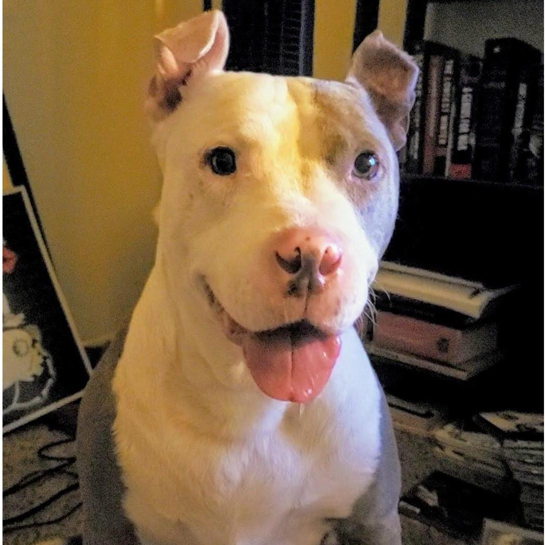 The love of our lives - Atlas(: