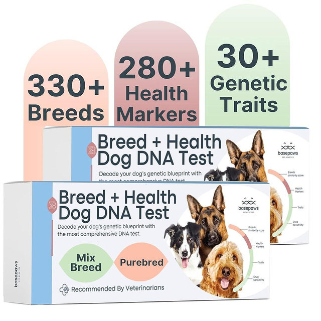 Basepaws Dog DNA Test Kit 2 Pack - 330+ Breeds, 280+ Health Risks, and 30+ Traits - Comprehensive Mixed Breed Identification, Pet DNA Test kit, Canine Genetic Ancestry and Heritage