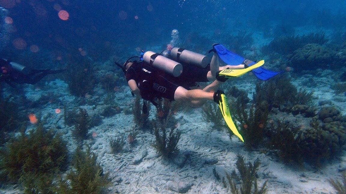 Best dive buddy’s
