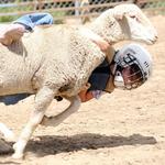 Routt County Fair