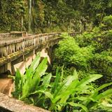 Road to Hana