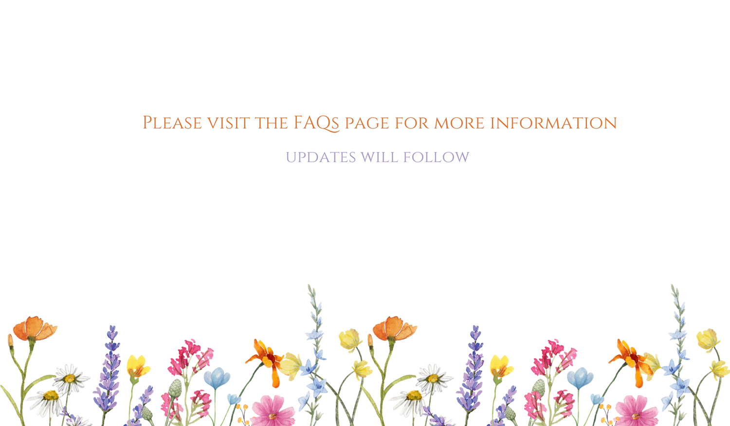 Footer image