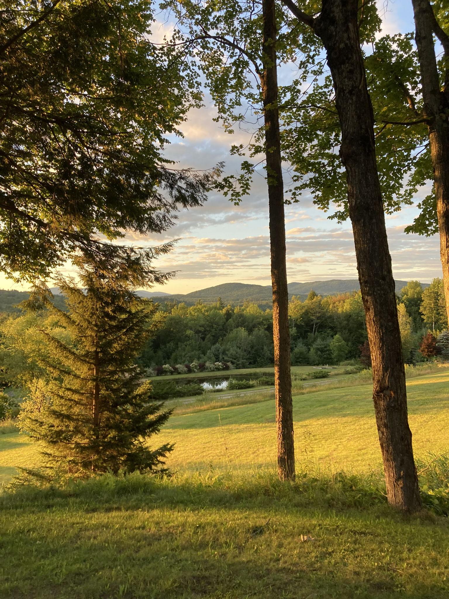 The Wedding Website of Rohan Kocharekar and Joe Fitzpatrick
