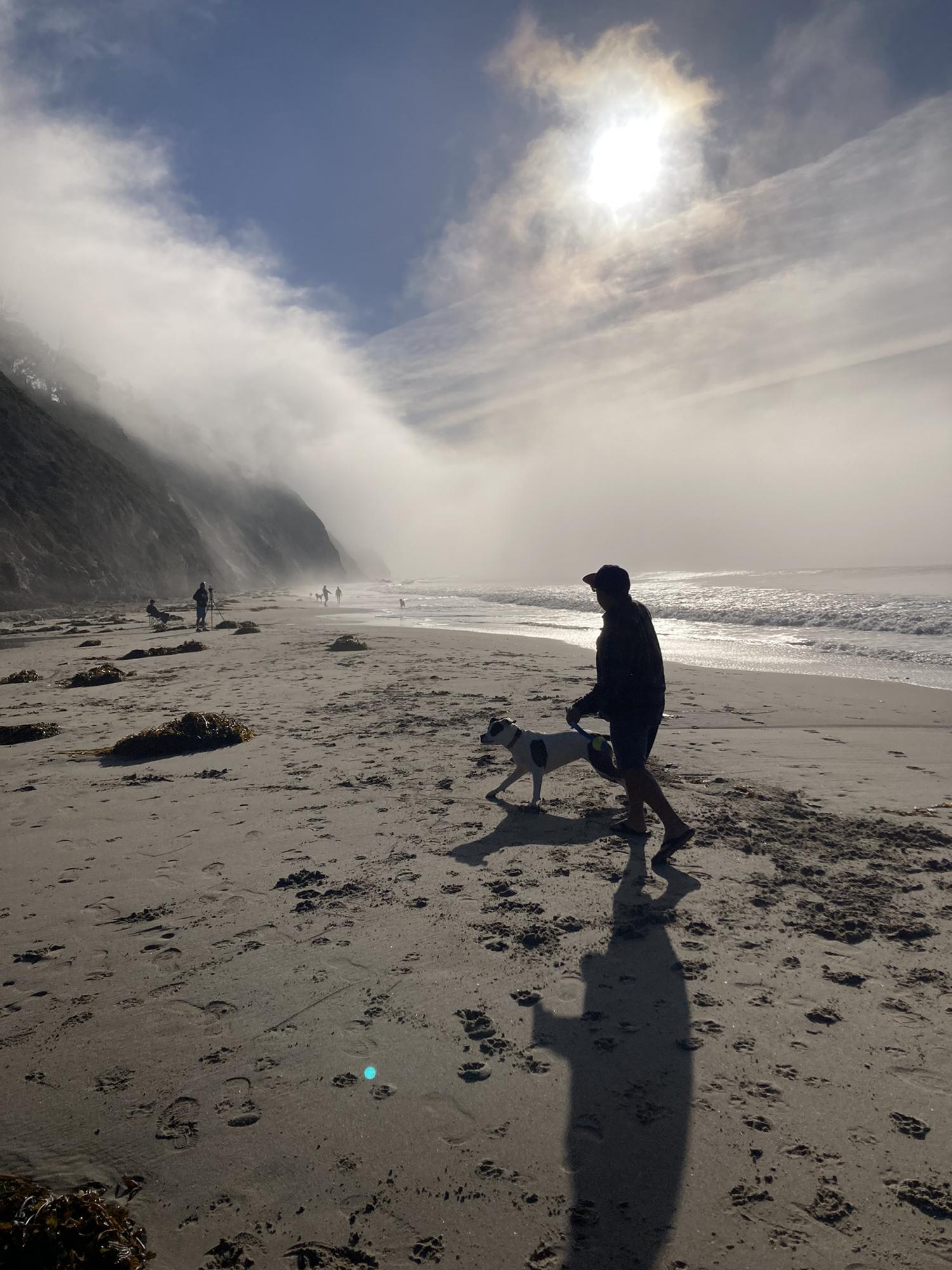 Hector asked me to marry him after I took this photo of him with our puppy at the beach