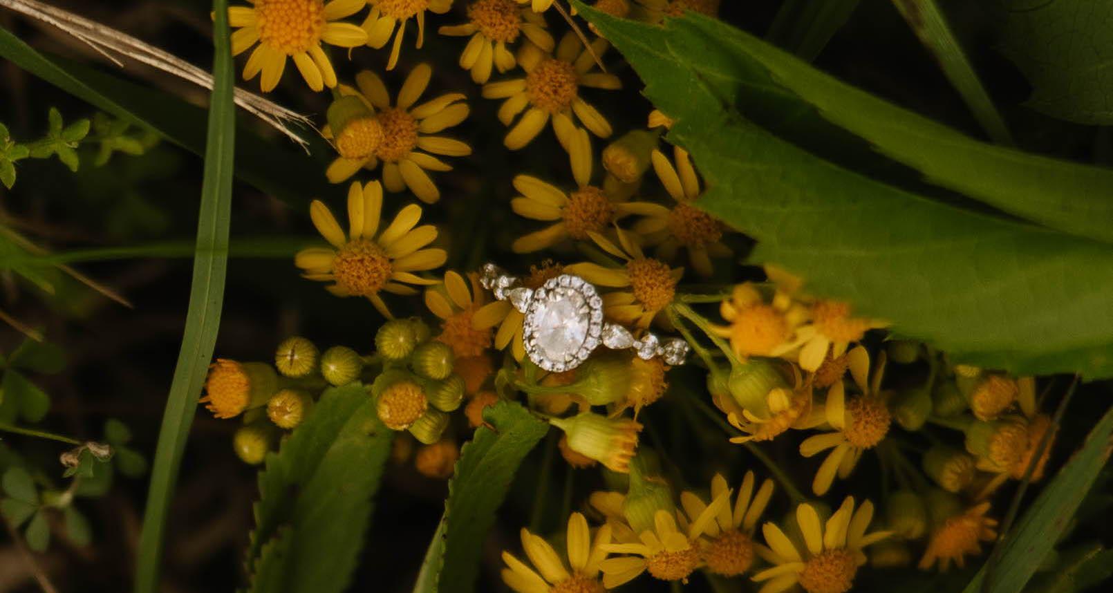 The Wedding Website of Kiara Ely and Dalton Allmon