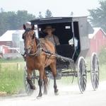 Amish of Kalona