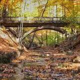 Highbanks Metro Park