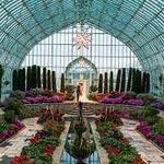 Como Park