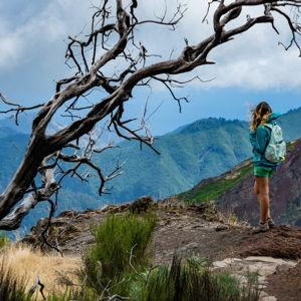 Sunrise Madeira Adventure "In the Clouds"